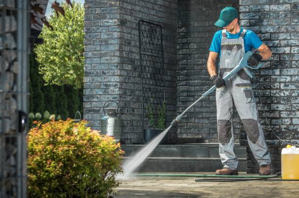 Best House Exterior Washing  in Elkins Rk, PA