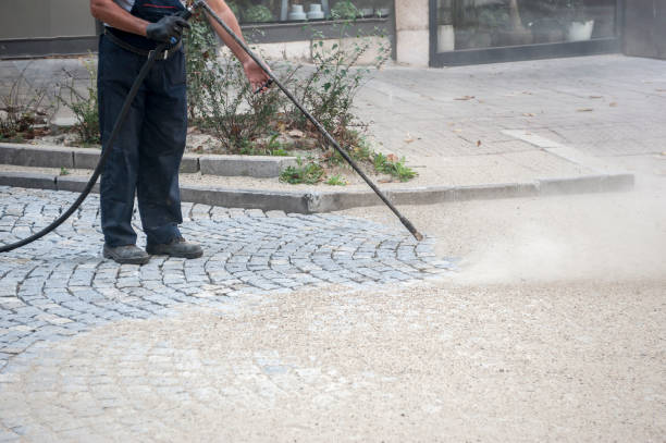Best Building Exterior Washing  in Elkins Rk, PA